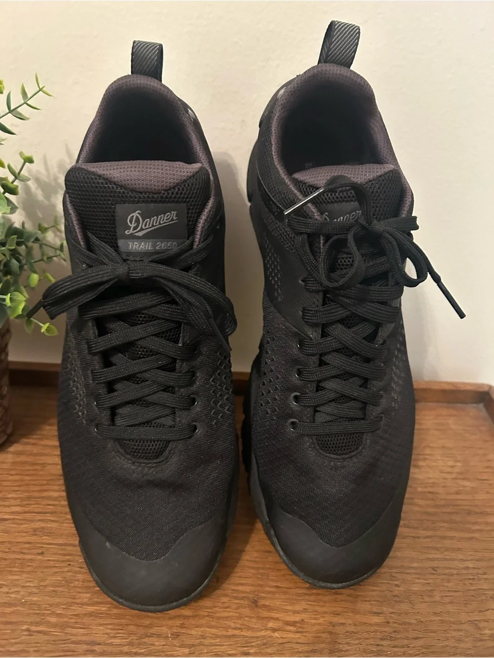 DANNER® TRAIL 2650 MESH 3